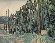 Paul Cezanne The Poplars Sweden oil painting artist